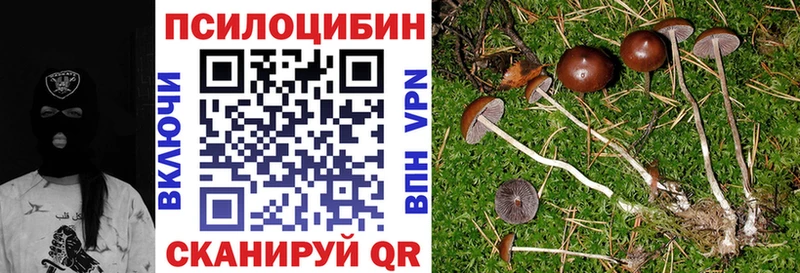 наркотики  Егорьевск  Псилоцибиновые грибы мицелий 